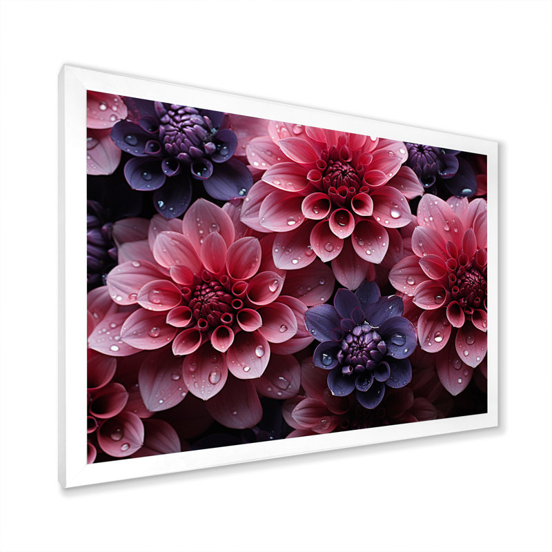 Majestic dahlia rose I - imprimé, H 30 po x l 40 po x P 1,5 po, Cadre simple blanc