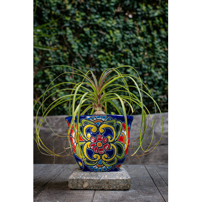 Handmade Ceramic Pot Planter