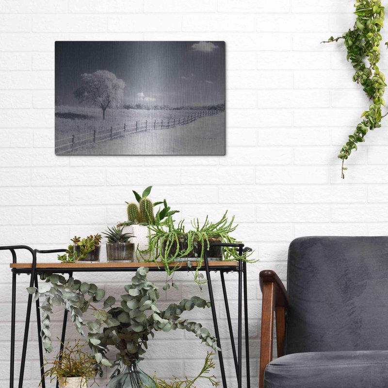 «Trees Fence I» par Debra Van Swearingen, H 12 po x l 16 po