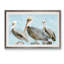 « molle brown pelican iii » par paul cezanne-photo, reproduction d’art encadrée-1211758167-1211758164