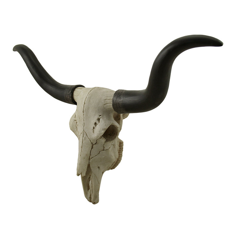Décoration murale crâne de trophée Longhorn