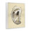 Natural Oyster Shell Grey Framed Giclee Art by Michael Willett