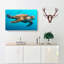 Swimming Sea Turtle In Abstract - Wrapped Canvas-55336960