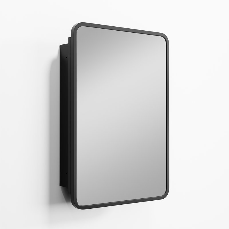 Bryndon Medicine Cabinet Mirror, Black, 30" H x 24" W