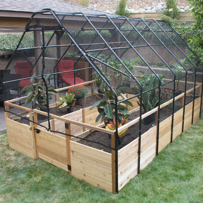 8 ft. W x 16 ft. D Western Red Cedar Raised Garden Bed with Bird Netting Cover