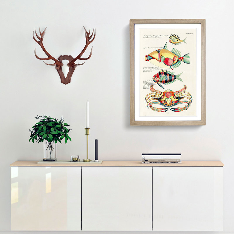 East Indies Fish & Crab Illustrations XXXIV by Louis Renard - Picture Frame Painting Print, 36cm H x 27cm W x 2cm D