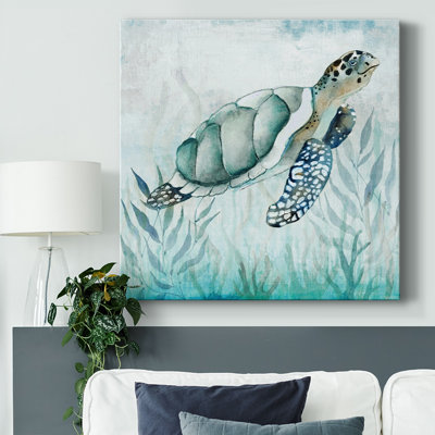 Tortue côtière I