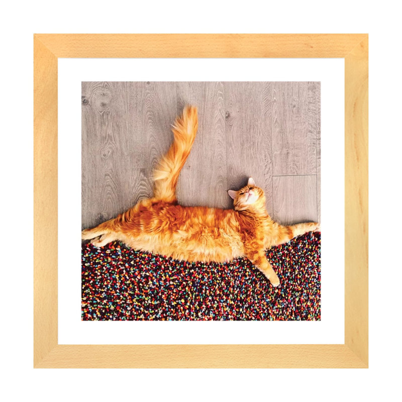 «The Cat Sprinkling the World with Sweets» par Hobopeeba - reproduction de photo, Toile avec cadre en bois beige, Blanc