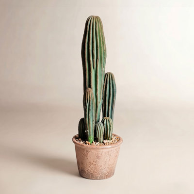 Faux Cactus Succulent in Terracotta Pot