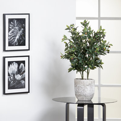 45'' Faux Olive Tree Plant in Cement Planter