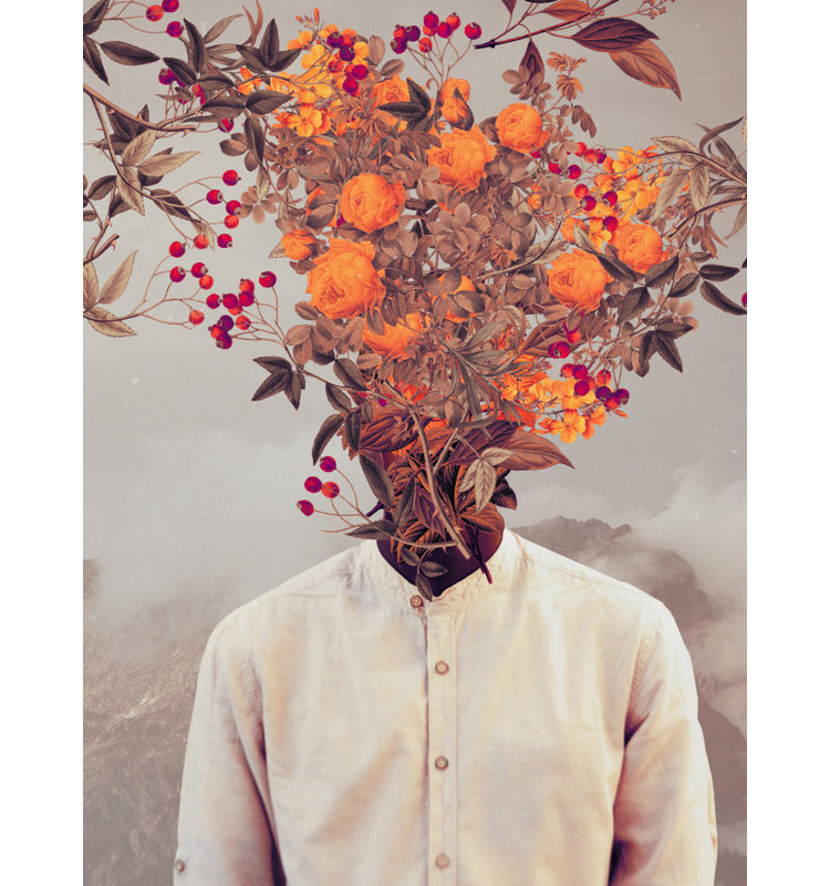 Bright Bloom by Frank Moth — Illustration Wall Art, 40 × 60, Framed Canvas, White