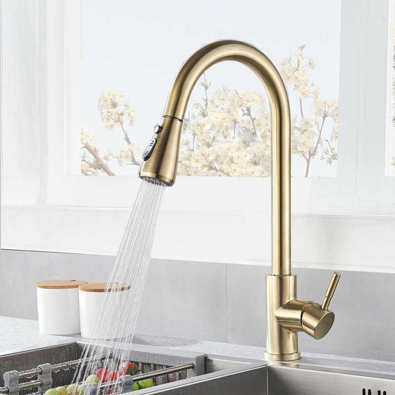 Fairmont Park Nerbone Pull Out Kitchen Faucet