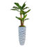 Panama 82'' Faux Banana Leaf Tree in Planter
