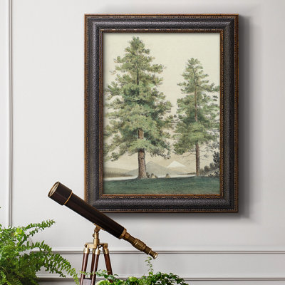 " Majestic Pine II "