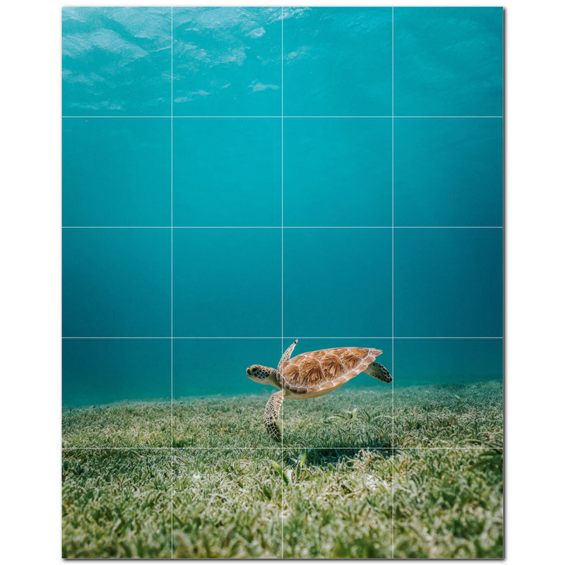 Tortue photo 4,25 x 4,25