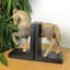 HORSE BOOKENDS 24cm Carved Wood Effect