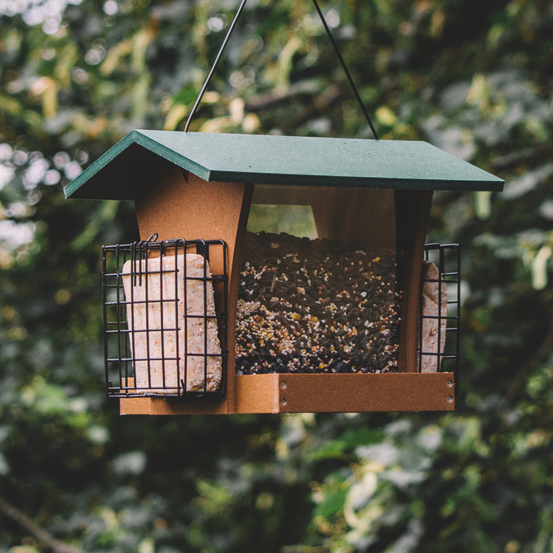  Mangeoire à oiseaux en plastique SIERRA avec cages à suif