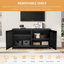 Lasater Accent Cabinet-1710728355
