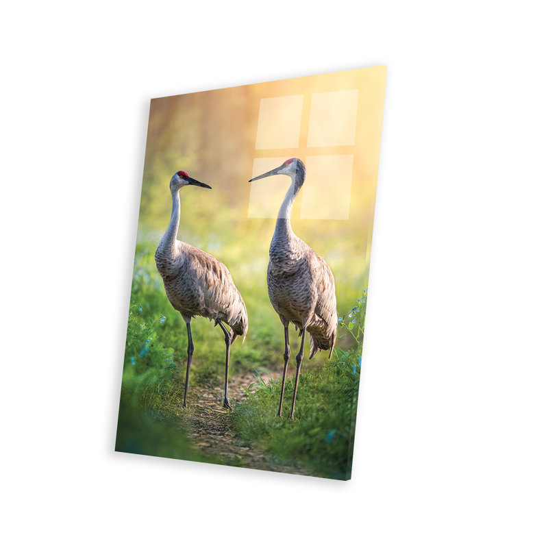 Talking Cranes par Patsy Weingart