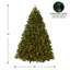 Sapin de Douglas de luxe avec PowerConnect Downswept Deluxe-125308099