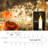 Outdoor 516'' Plug-in String Light