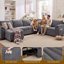 Canapé-lit modulaire Comerford avec lit escamotable, canapé modulaire en L avec rangement, canapé Cloud avec assise profonde, chenille, gris clair-885631422