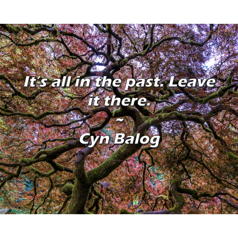 Cyn Balog Citation: Tout est dans le passé. Laissez-le là.