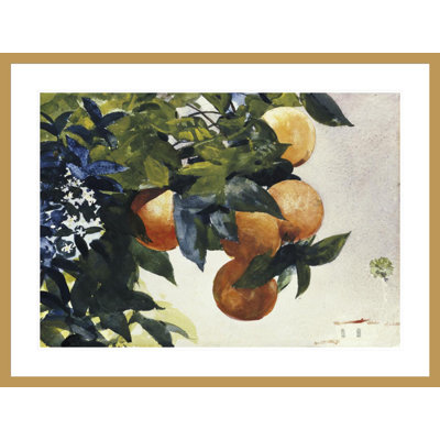 «Oranges on a Branch» par Winslow Homer, impression giclée encadrée