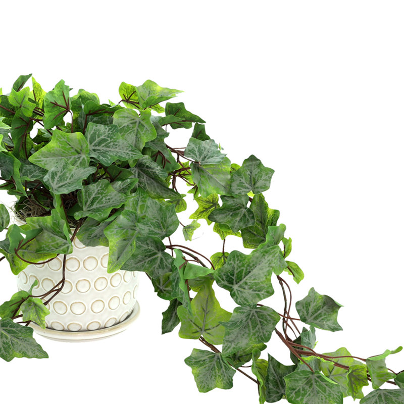Toscani Faux Ivy Plant in Ceramic Pot