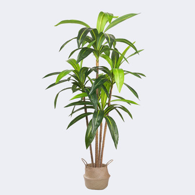 Pot à fleurs artificiel Dracaena