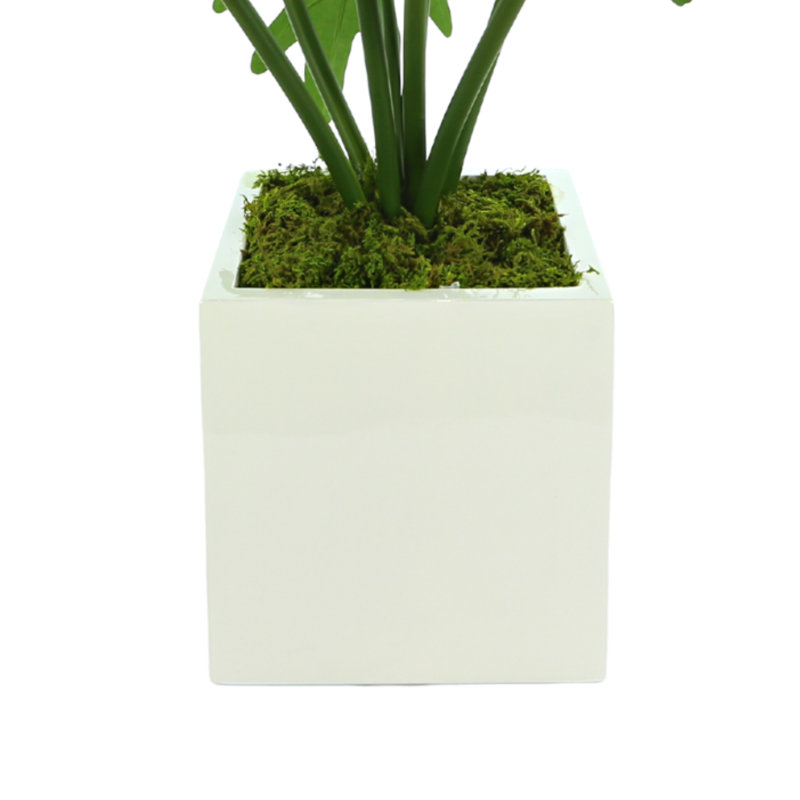 Organic Modern Faux Philodendron Plant