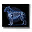  «Xray Pitbull» par Dean Russo, art mural sur toile, 30 po x 26 po-1465077025