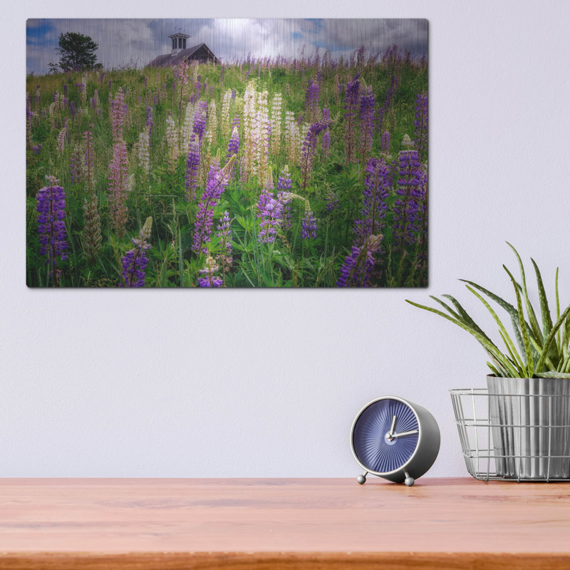 Mur de métal «Spring Blooms In Maine» par Rick Berk, H 12 po x l 16 po