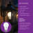 5.5-Watt (40-Watt Equivalent), A19 LED, Light Bulb, Warm White, E26/Medium (Standard) Base - Basics by Wayfair™-47435982