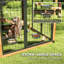 Niche extra large pour chien (2,13 m x 1,52 m), en bois, avec plateforme et rangement, pour chiens de grandes races, jaune.