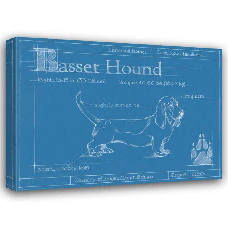 «17 Stories Harper, Ethan», art sur toile tendue avec châssis: Basset hound, H 28 po x l 36 po