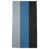 Silver/Blue/Black