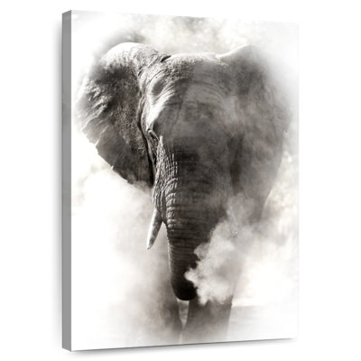 Éléphant d'Afrique Brampt Dusty