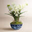 Roses And Eucalyptus In A Green And White Vase