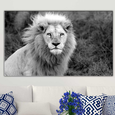 " King Of The Jungle "