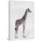 Aldiana 'Standing Tall Giraffe II' Print on Wrapped Canvas-342207871