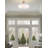 Patia - Light Pendant