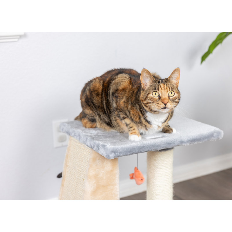 20'' H Cat Tree