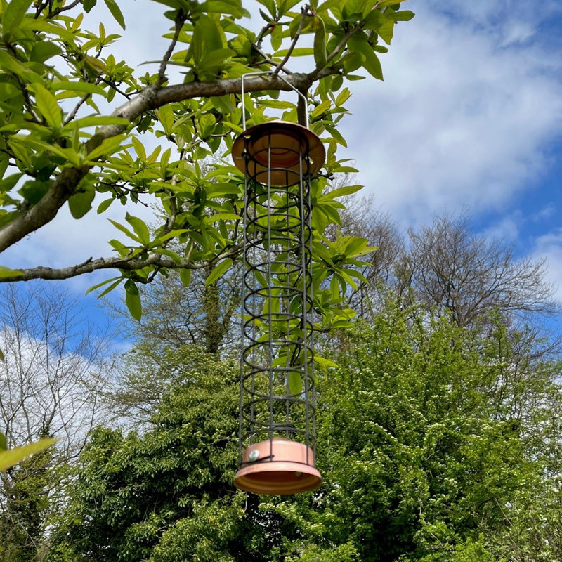 Gallinas Metal Hanging Suet Bird Feeder