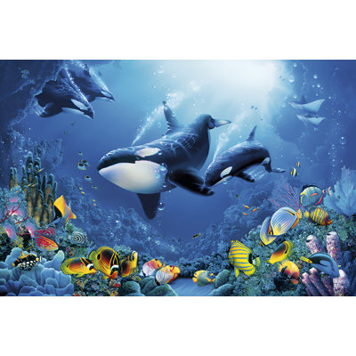  Officiellement sous licence «Delight of Life», océan Orcas, affiche d'art - 24 x 36 po - reproduction décorative - papier affiche - prête à encadrer