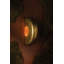 Enko Wall Sconce