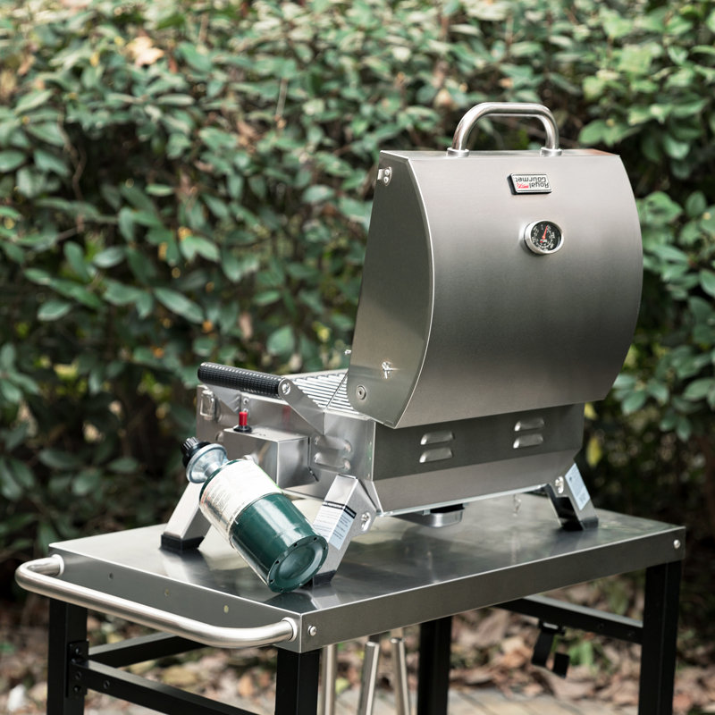 Royal Gourmet 2 - Burner Portable Liquid Propane 10000 BTU Gas Grill