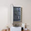Eaton Medicine Cabinet, Recess and Surface Mount-946598648