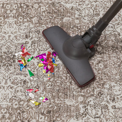LENORE Machine Washable Vintage Floral Design Area Rug