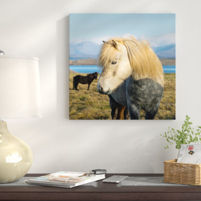 «When in Island», reproduction de photo sur toile